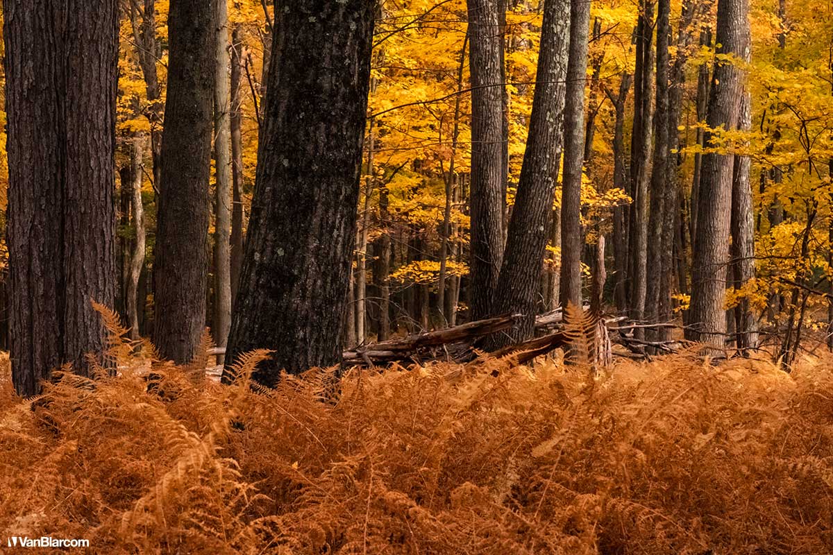 Pennsylvania Poconos in Autumn