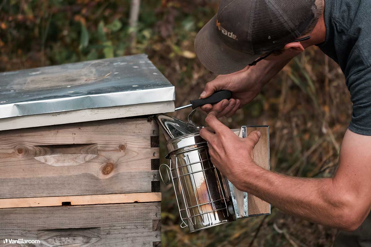 Peterson Farm Apiary